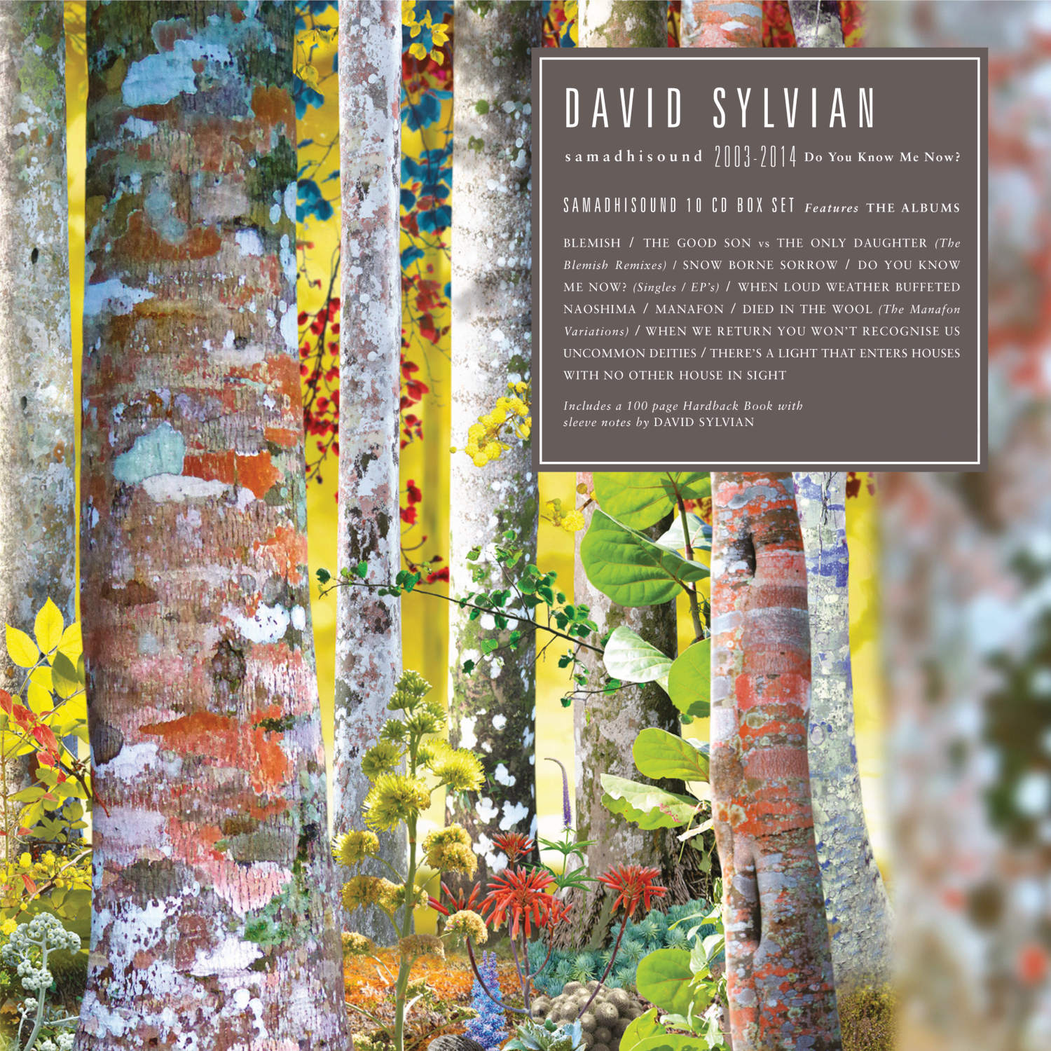 David Sylvian / Samadhisound 10CD box set